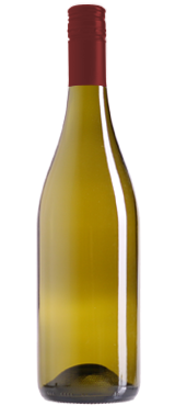 Chardonnay